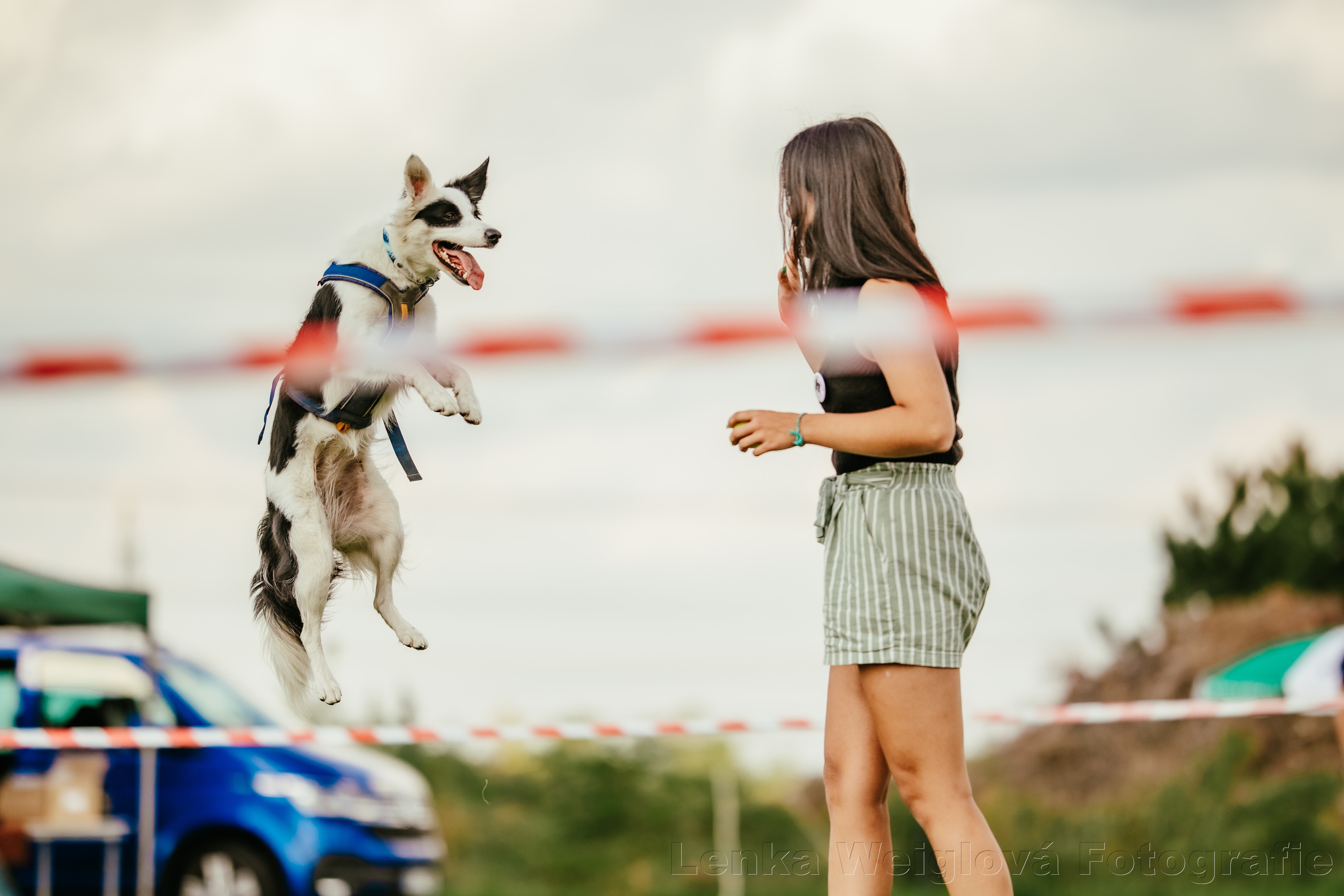 Foto Nehvizdský voříšek 2019