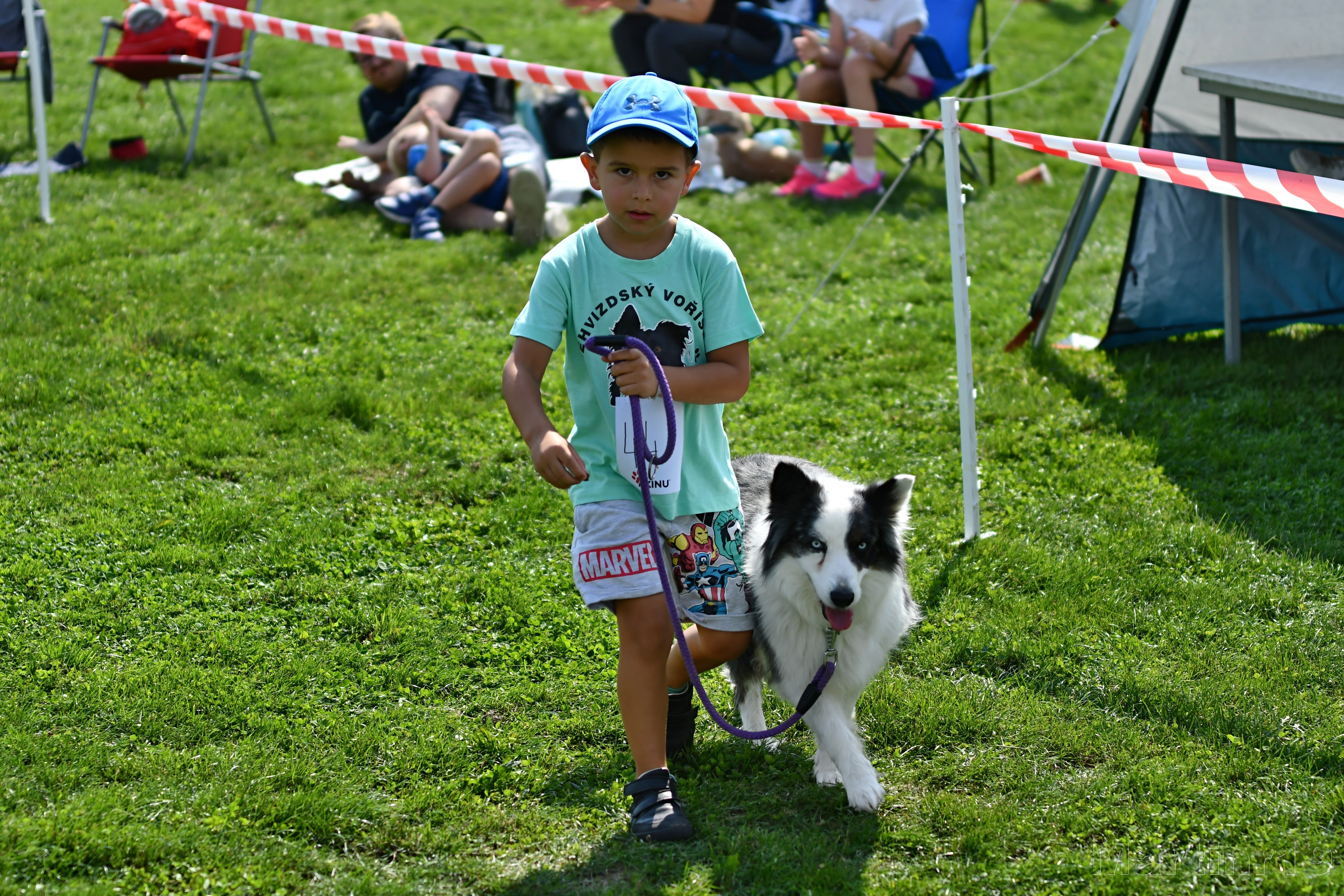 Foto Nehvizdský voříšek 2019